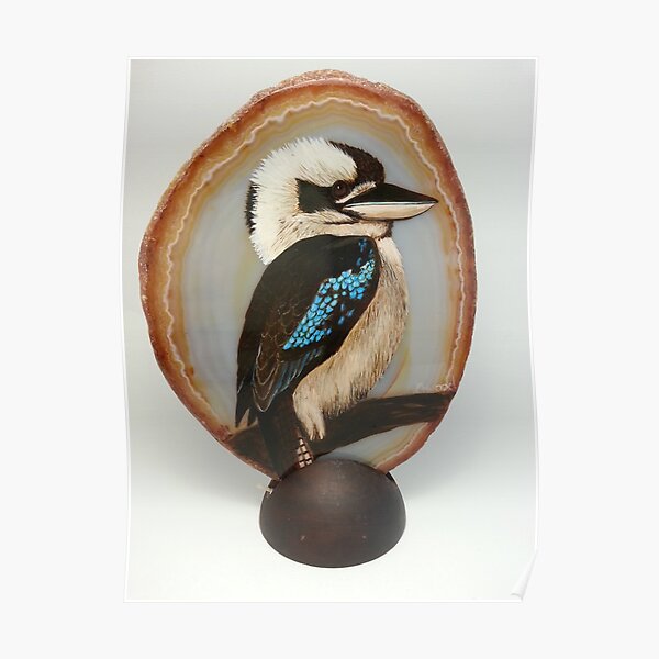 Kookaburra Poster