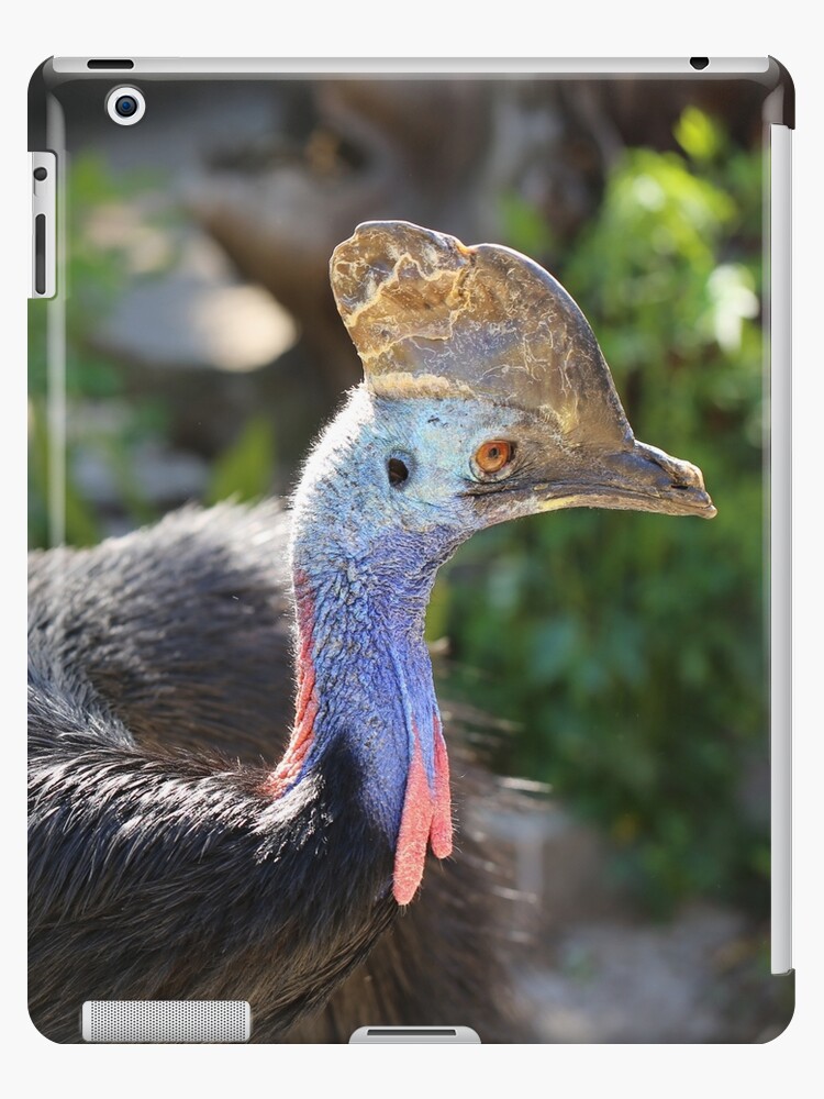 Funda y vinilo para iPad «Casuario - ¡El dinosaurio de pájaro más feo!» de  renprovo | Redbubble