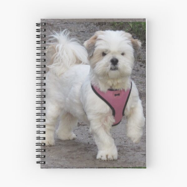 Item preview, "We Love Lhasa Apso" Daffodil Dilly designed and sold by Merice  Ewart Marshall.