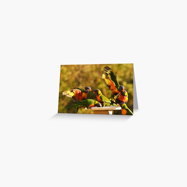Mayhem on the feeding tray Greeting Card