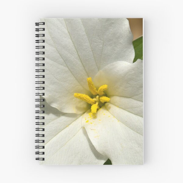 Item preview, Trillium designed and sold by naturesangle.
