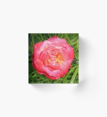 lp15 Acrylic Block