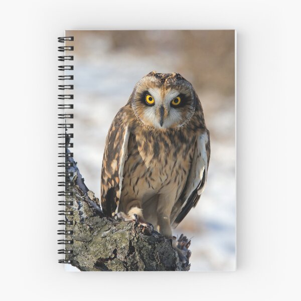 Item preview, Short Ear Owl designed and sold by naturesangle.