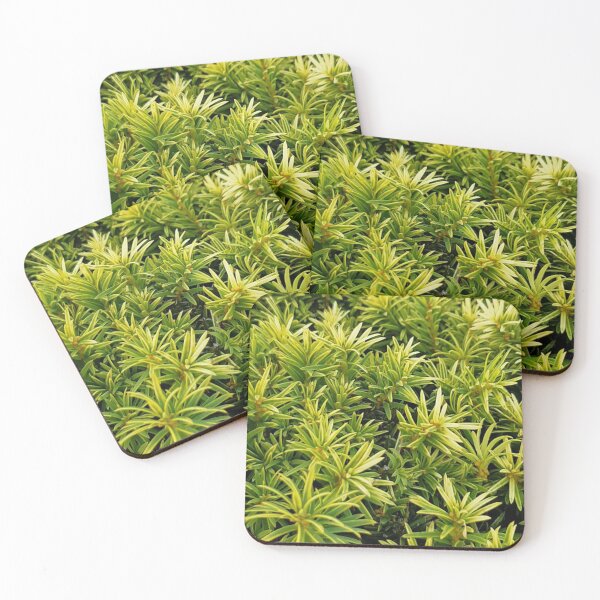 Item preview, Green and pointy grow the leaves designed and sold by ellenhenry.