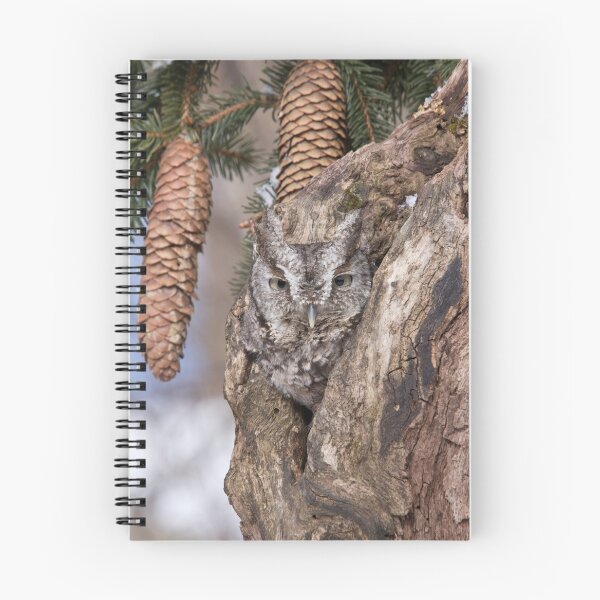 Item preview, Eastern Grey Screech designed and sold by naturesangle.