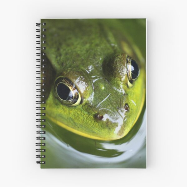Item preview, Bullfrog designed and sold by naturesangle.
