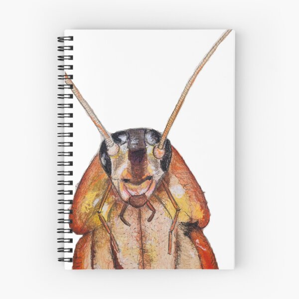 Item preview, Cockroach designed and sold by Fulaniarte.