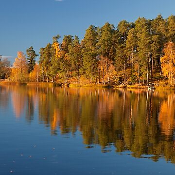 Artwork thumbnail, Autumn lake by Göran Andersson