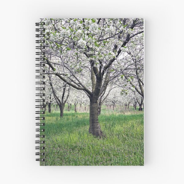 Item preview, Canopy of Apple Blossoms designed and sold by naturesangle.