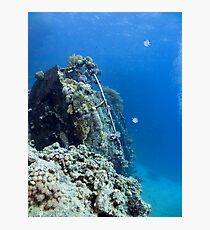 Alone Photographic Print