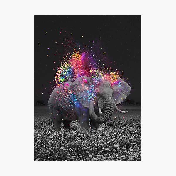 true colors II Photographic Print