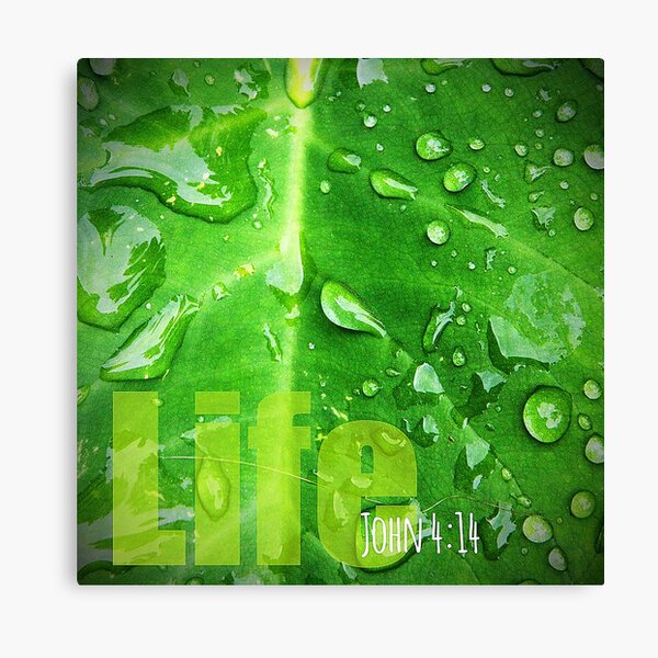 Item preview, Life designed and sold by jdbphotoworks.