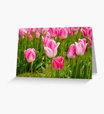 Tulips Greeting Card