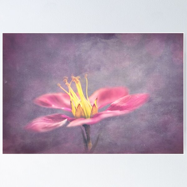 Item preview, Pink on Purple designed and sold by Gbenonys Art.