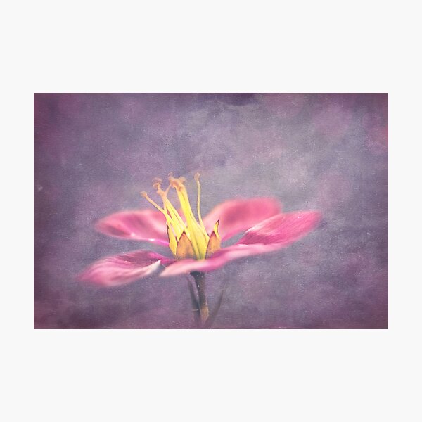Item preview, Pink on Purple designed and sold by Gbenonys Art.