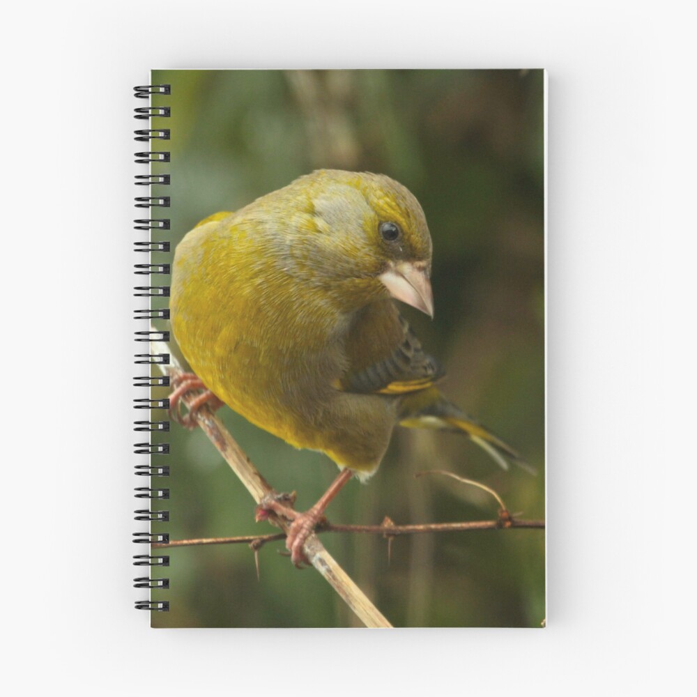 Item preview, Spiral Notebook designed and sold by Hawker.