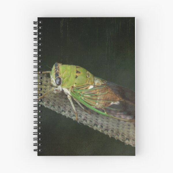 Item preview, Cicada - Cicadoidea - Green - Insect designed and sold by Debra Martz.