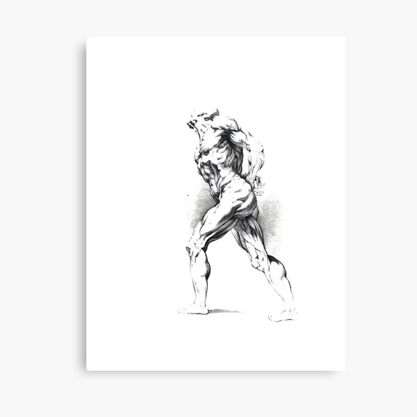 #art #adult #illustration #people renaissance marble painting naked Canvas Print