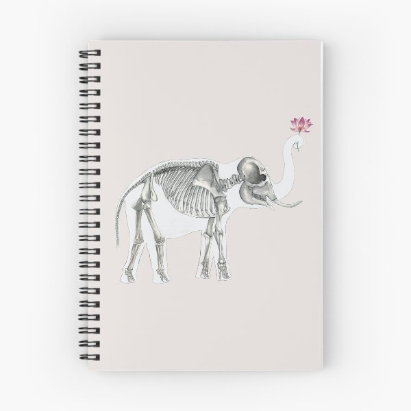 Item preview, Elephant Skeleton: Animal Anatomy designed and sold by osuariumfloreus.