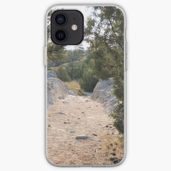 Time Travel iPhone Soft Case