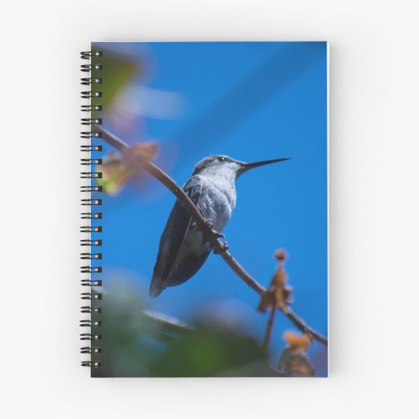 Aperçu de l'œuvre little bird créée et vendue par Lifesfun.