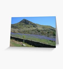 Rannerdale bluebells I Greeting Card
