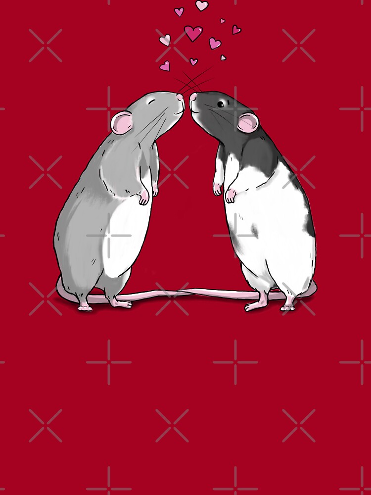 Love And Health As A Mouse Trap Valentine Rat Sweet Photo