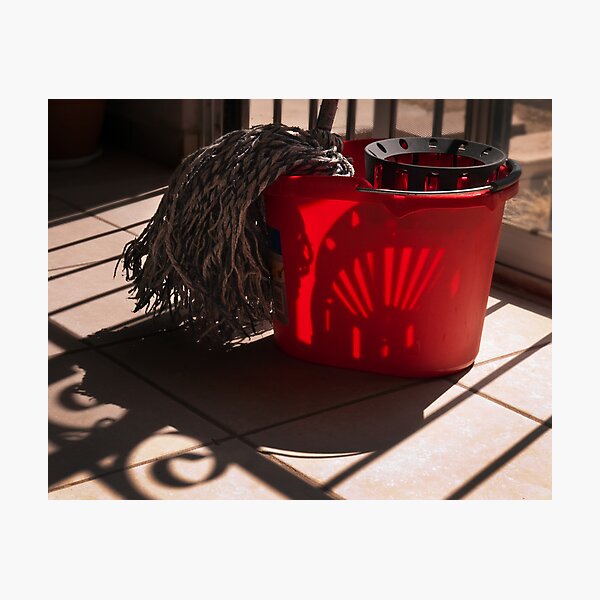 Playful Bucket Photographic Print
