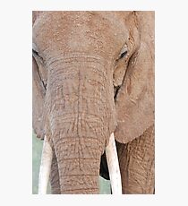 Up Close Photographic Print