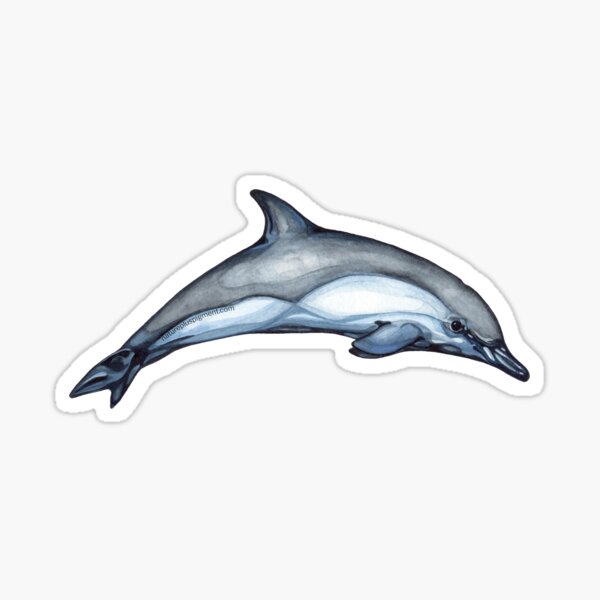 Jumping Dolphin Sticker Sticker