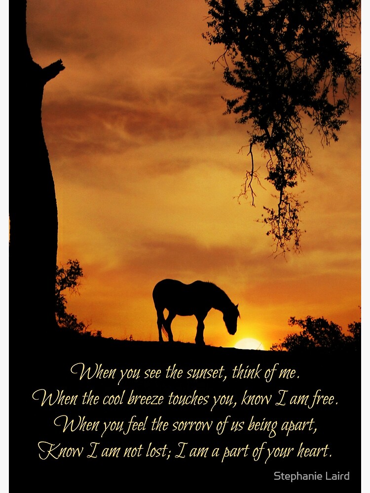 Memorial Card with Beautiful Sympathy Poem Forever Foree Loss of Horse Spiritual Horse Sympathy