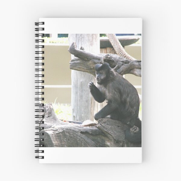 Item preview, Cool Ape, Canberra Zoo, Australia. designed and sold by kaysharp.