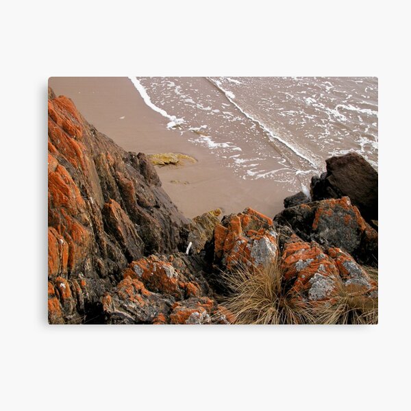 Item preview, The Edge of the World, Arthur River, Tasmania, Australia. designed and sold by kaysharp.