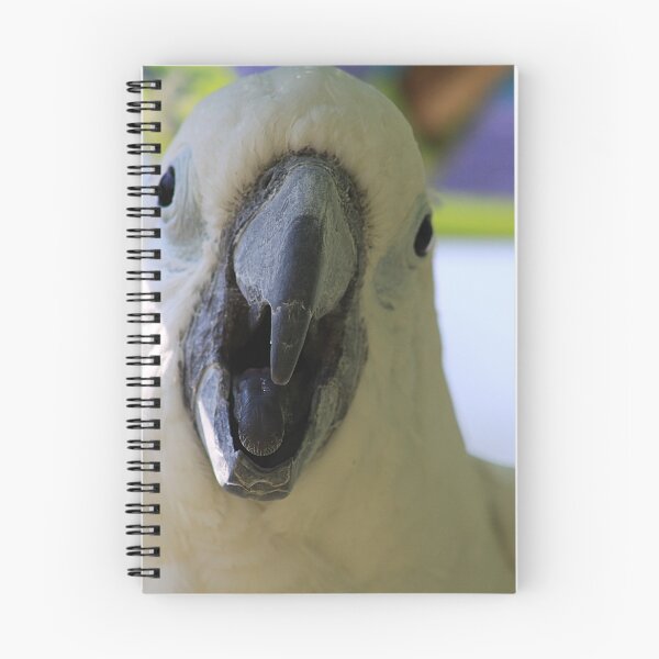 Item preview, White Parrot designed and sold by Alyce Taylor.