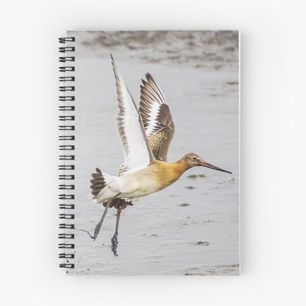Item preview, Godwit Rising designed and sold by MikeSquires.
