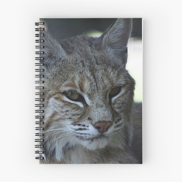 Item preview, Nice Kitty designed and sold by Alyce Taylor.