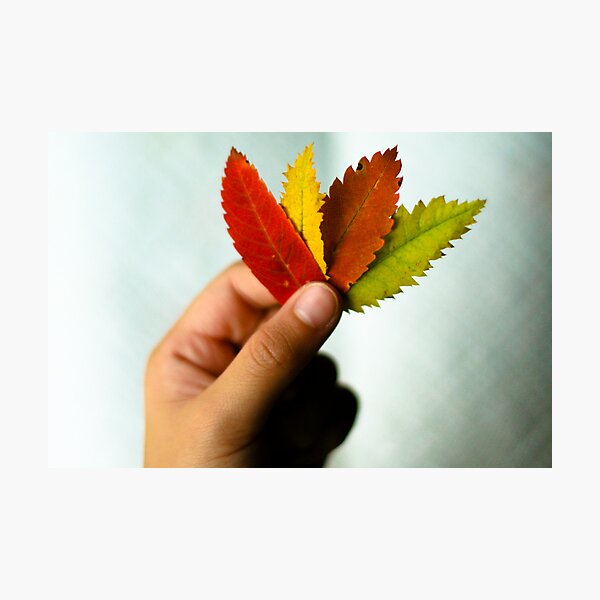 Holding Fall Photographic Print
