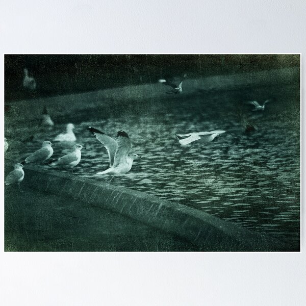 Item preview, The Takeoff designed and sold by Laurie Search Fine Art Photography.