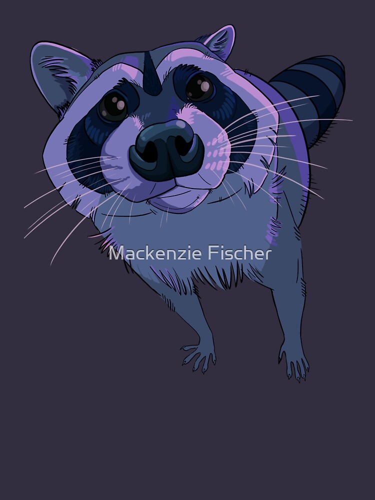 purple raccoon stuffed animal