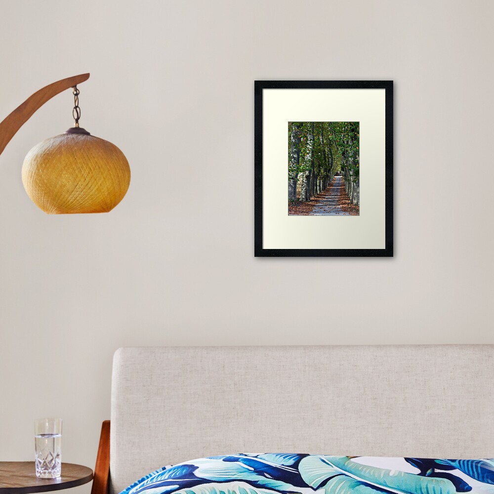 Allée Des Arbres Framed Art Print