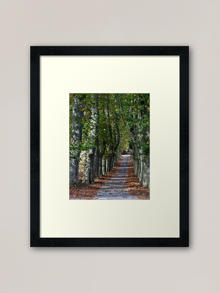 Alternate view of Allée Des Arbres Framed Art Print