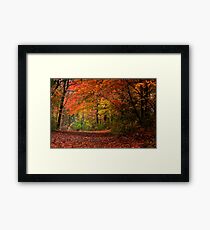 Autumn Landscape Framed Print