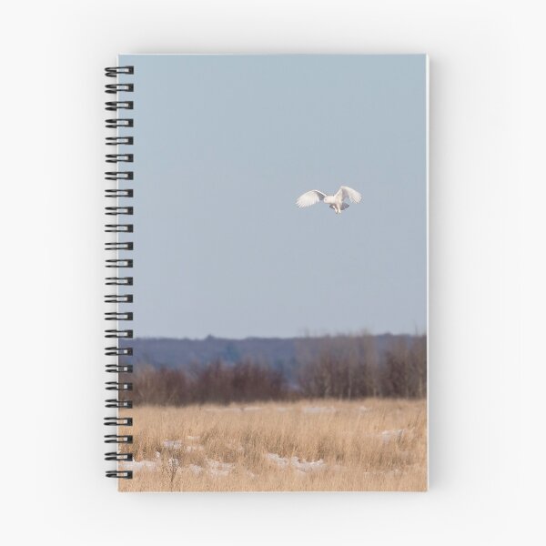 Item preview, Snowy Owl 2018-24 designed and sold by Thomasyoung.