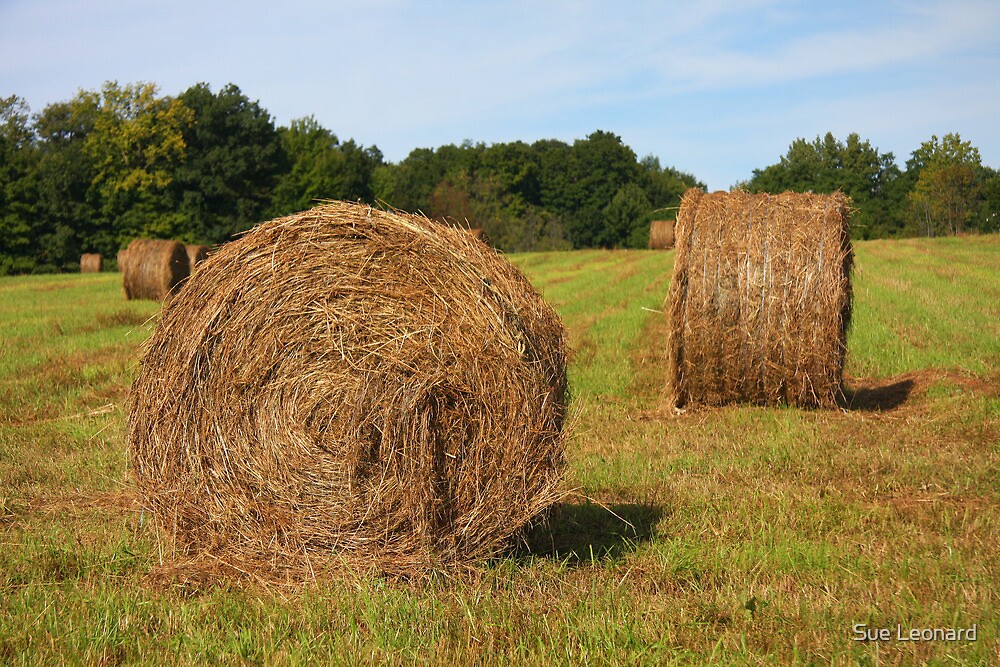 round-hay-bales-by-sue-leonard-redbubble