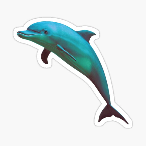 Dolphin Sticker