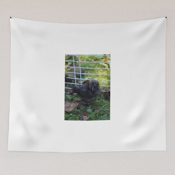 Item preview, A Baby Silkie designed and sold by Melissa Glabay.