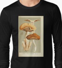 Illustrations of British Fungi by Mordecai Cubitt Cook 1891 V4 0551 AGARICUS PSILOCYBE SARCOCEPHALUS Long Sleeve T-Shirt