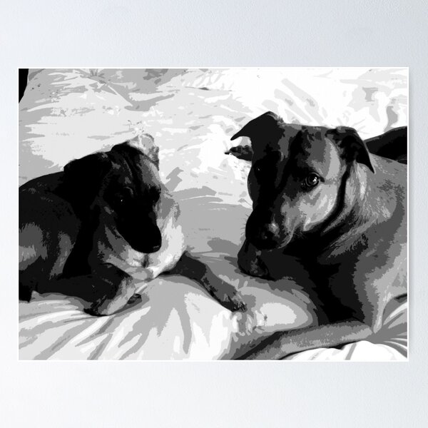 Item preview, two on a bed designed and sold by Jonathan Blades.