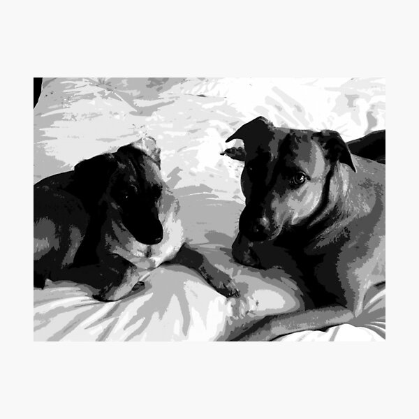 Item preview, two on a bed designed and sold by Jonathan Blades.