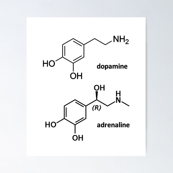 Item preview, Love - Chemical formula Dopamine Adrenaline designed and sold by nikolap99.